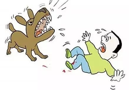 打狂犬疫苗注意这几点